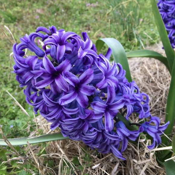 Please read before making low offers. Thank you. - Picture 5 of 5